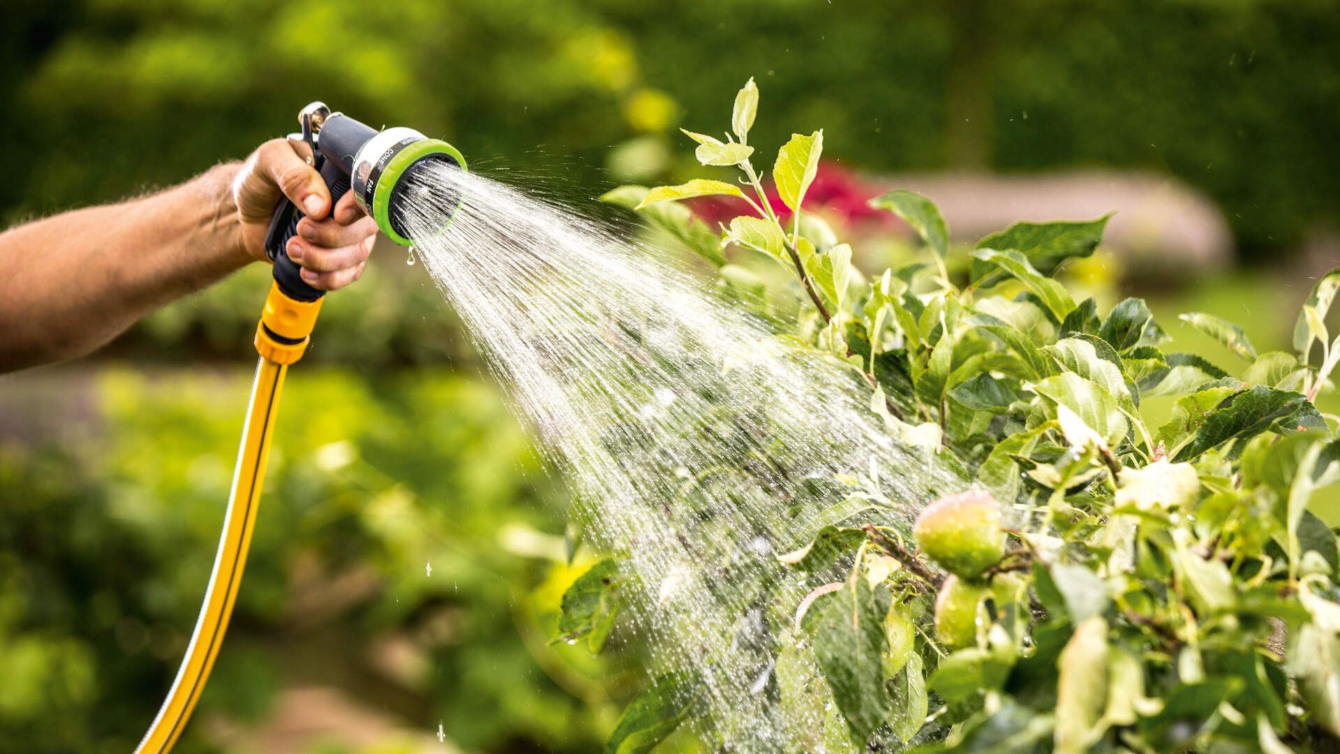 GardenPump 18V-2000 Bosch Akumulatorske pumpe za kišnicu | 06008C4202 - Slika 2